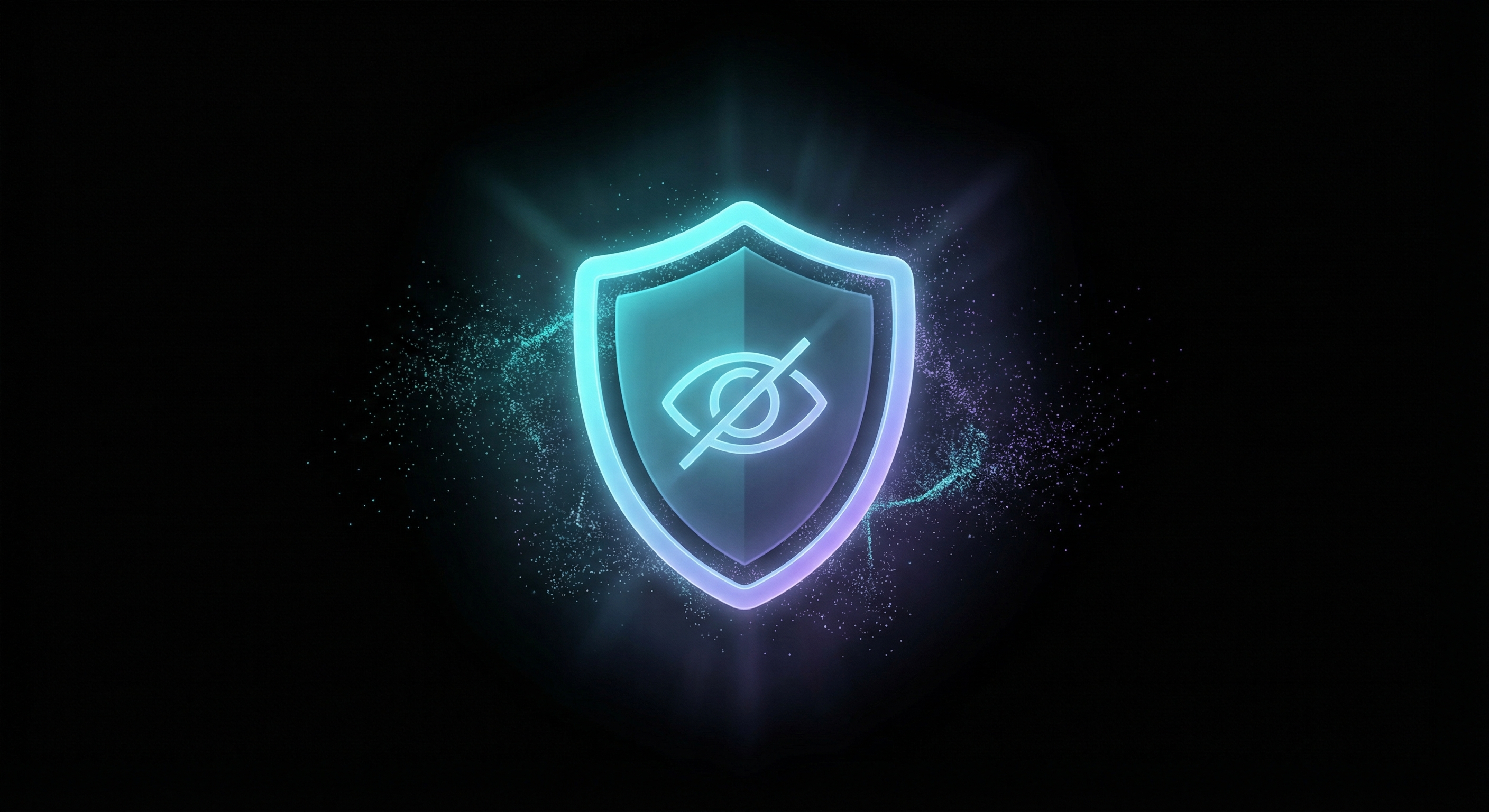 Privacy and anonymity shield